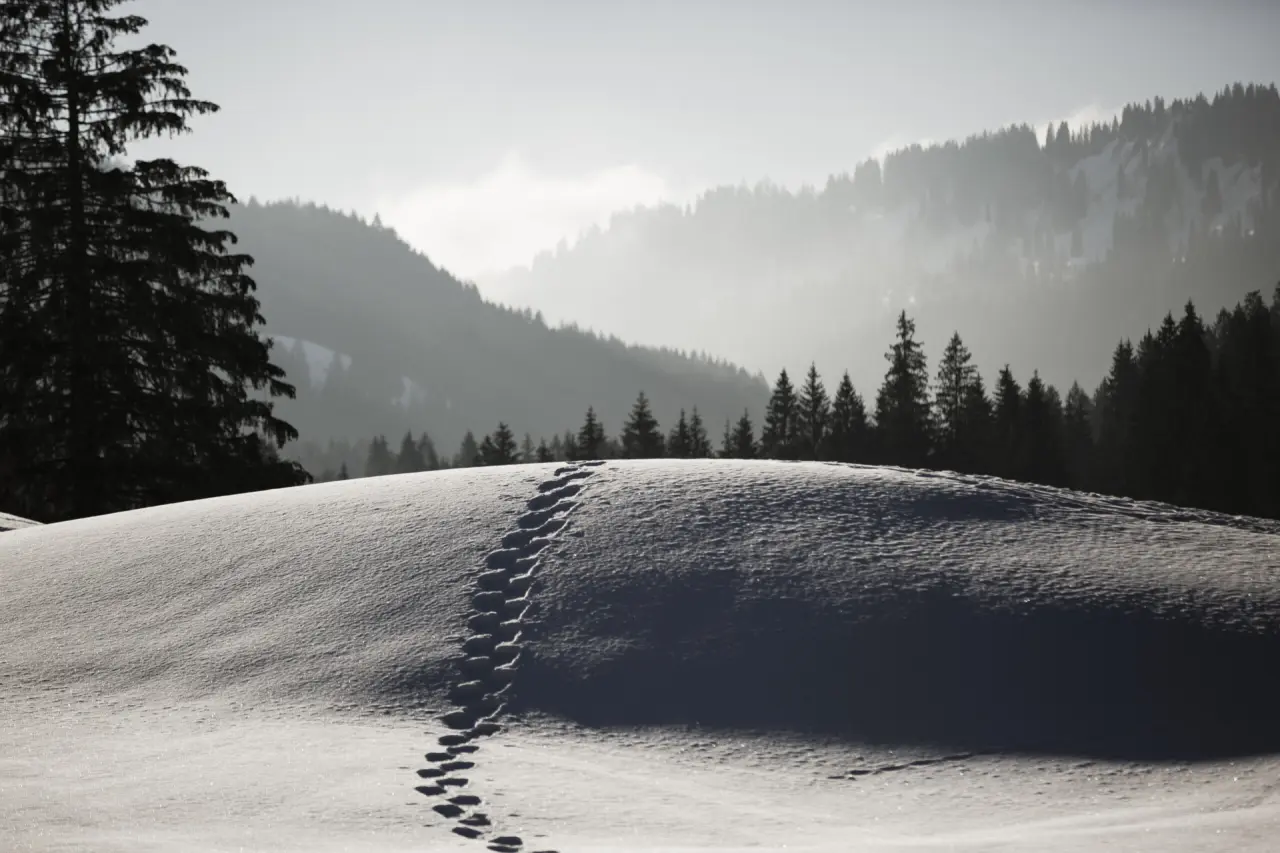 Verschneite Winterlandschaft mit Fußspuren und Tannenwäldern im Hubertus Mountain Refugio Allgäu.