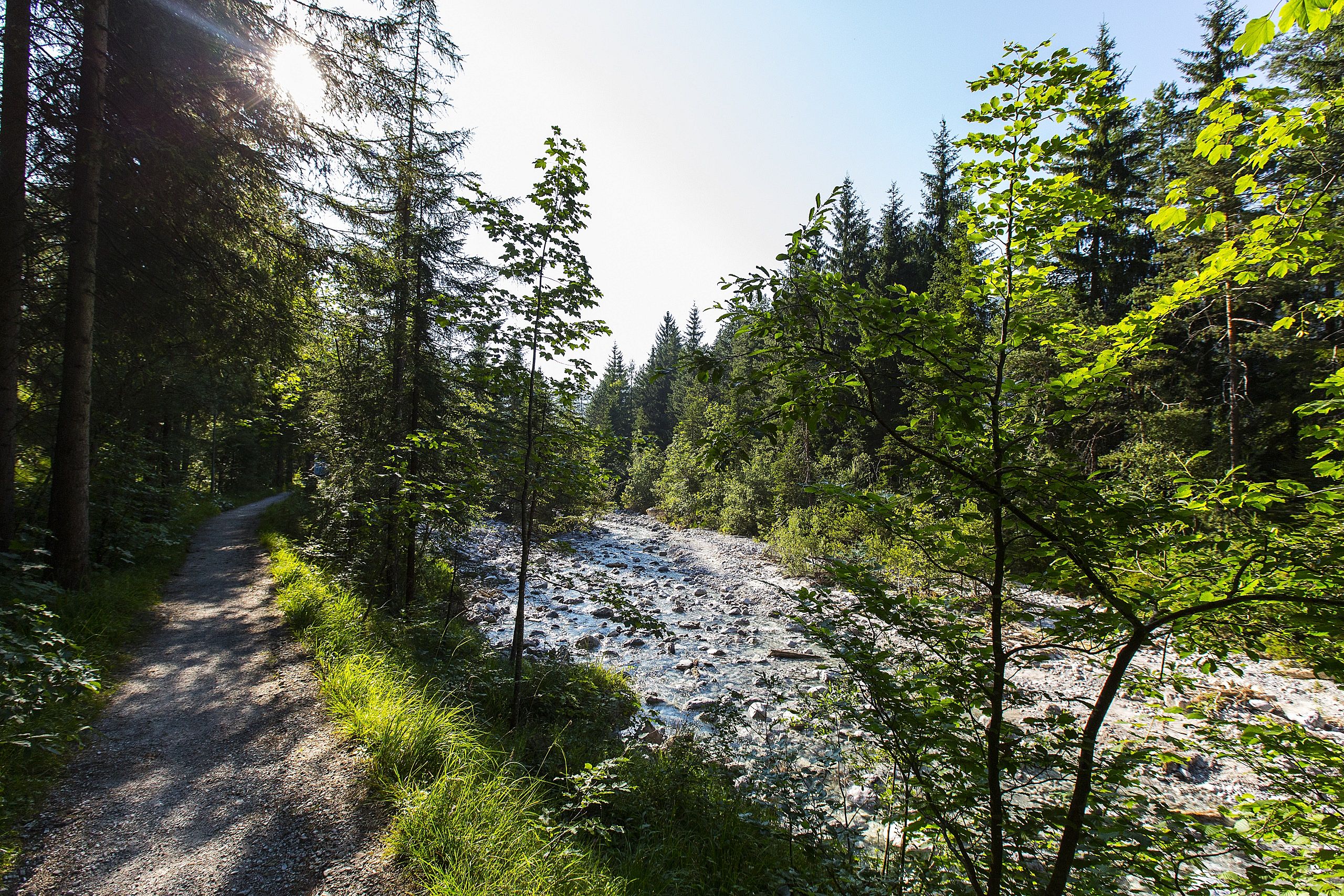 Hotel Der Lärchenhof in Erpfendorf – Waldweg am Bachlauf in der Natur | Wellnesshotel Tirol