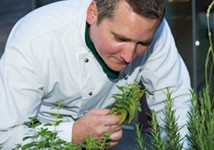 Juniorsuite [Hochmoor NORD]