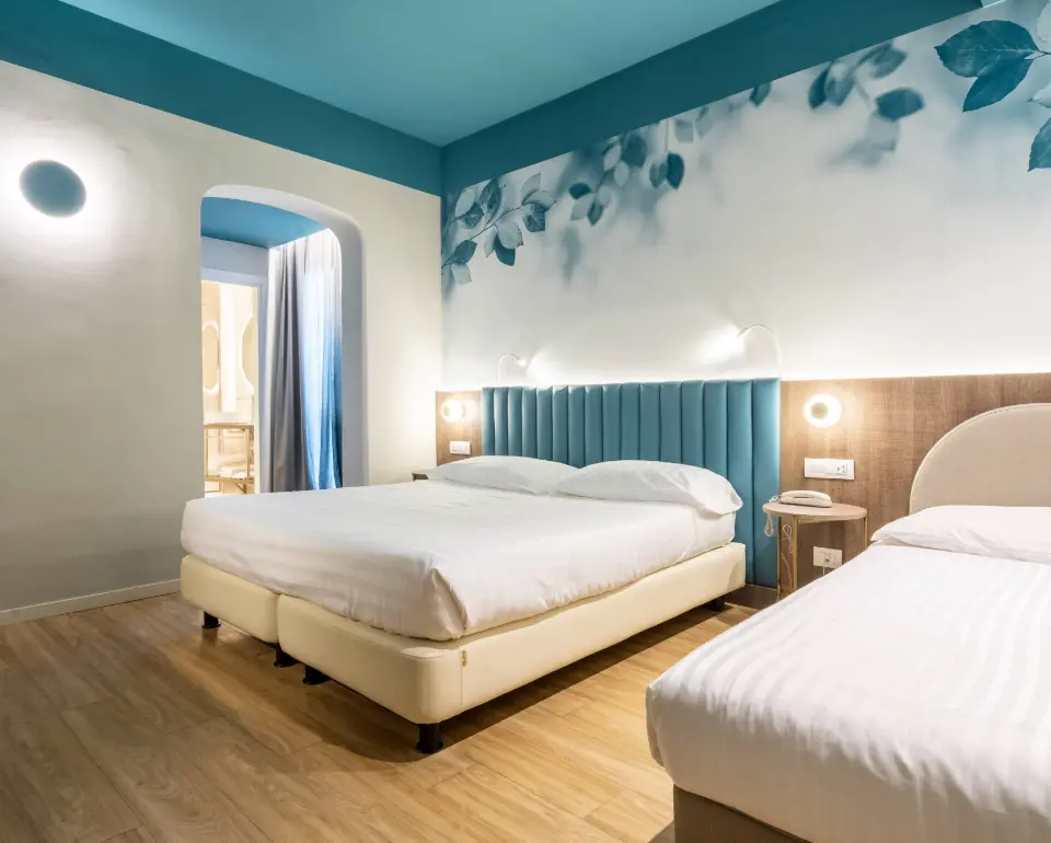 Camere Roomy